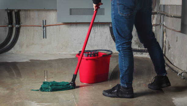 Best Water damage restoration experts  in Batavia, OH