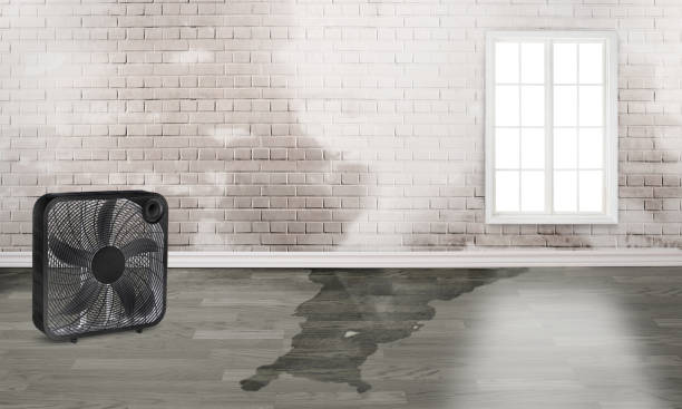 Best Water damage restoration near me  in Batavia, OH