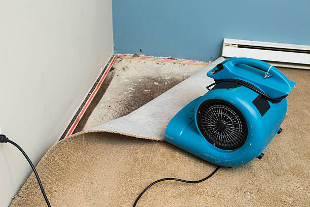 Best Flood damage cleanup  in Batavia, OH